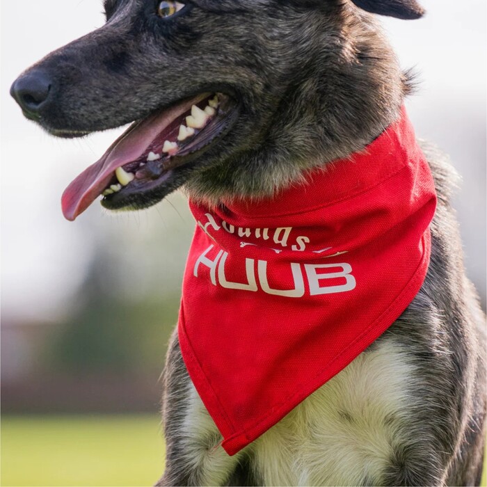 Huub Pet PET 2024 Pauelo Bandana A2- Red